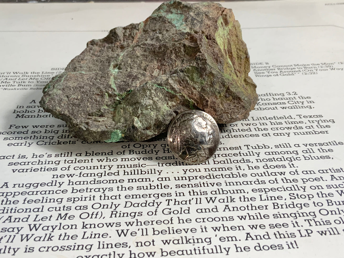 Buffalo Nickel Pin